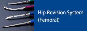 Hip Revision System (Femoral)